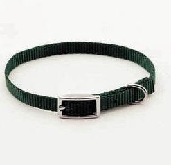 coastal pet small dog collar green