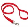 coastal pet double-ply nylon dog leash 6'