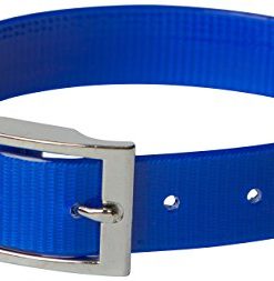 omnipet sunglo regular dog collar, blue