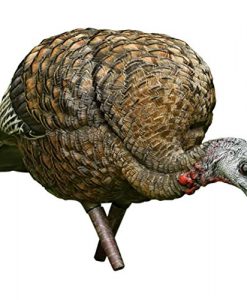 avianx feeder turkey decoy