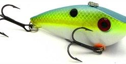 CHARTREUSE SEXY SHAD