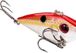 RED SEXY SHAD