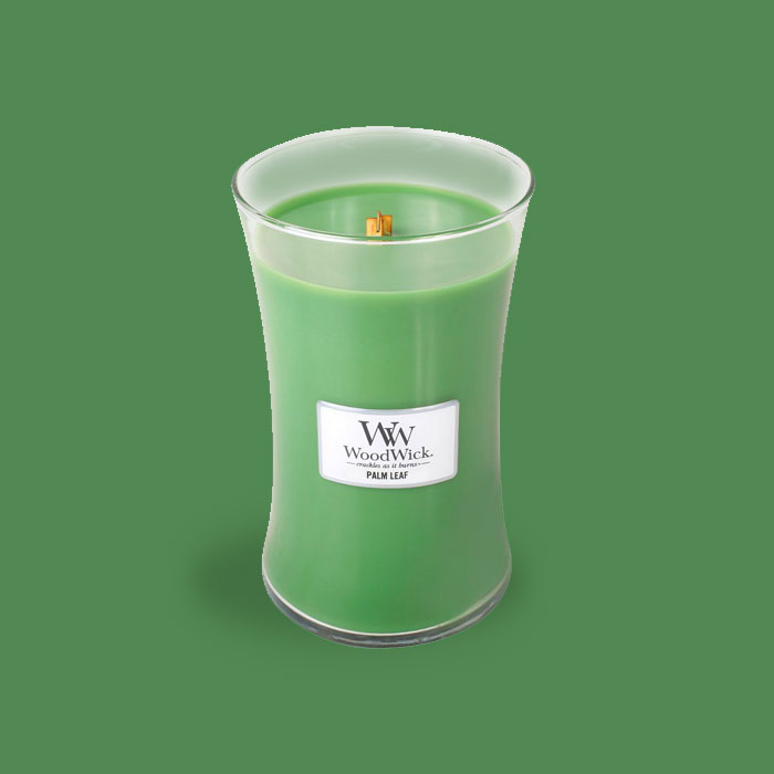 Sporting Goods Outdoor Gear and Sporting Goods Store