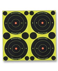 Birchwood Casey Shoot Target