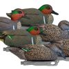 Green-Wing Teal Decoy
