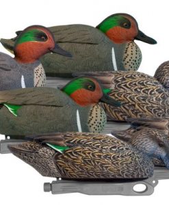 Green-Wing Teal Decoy