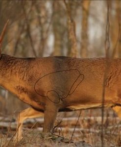 Birchwood Casey EZE-Scorer Whitetail Deer Target
