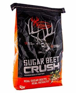 Sugar Beet Crush Powder