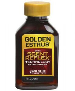 Golden Estrus