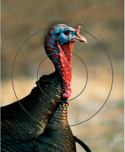 Birchwood Casey PREGAME Turkey Reactive Target