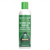 Big Green Egg SpeediClean Exterior Stain Remover #126955