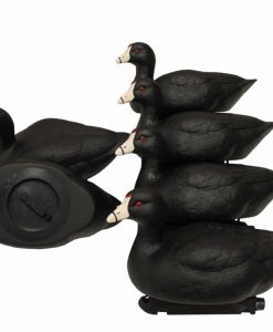 Mojo Coot Confidence Decoys (6-Pack)