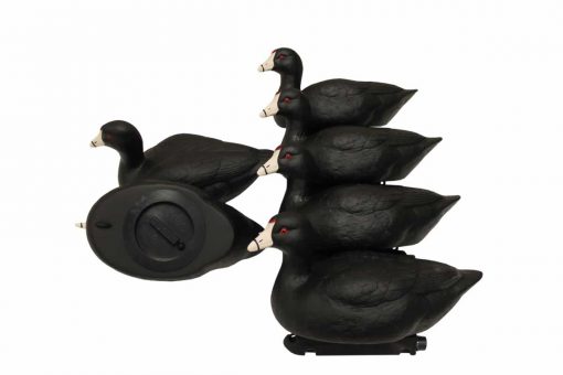 Mojo Coot Confidence Decoys (6-Pack)