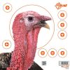 Allen EZ Aim Four Color Turkey Patterning Paper Target #15322