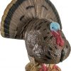 Rinehart Target Woodland Strutt Turkey #41611