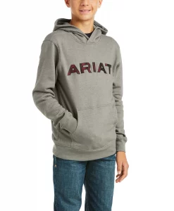 Ariat Kid's Basic Logo Hoodie Sweatshirt