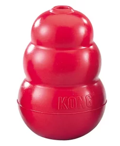 Kong Hard Rubber Dog Toy #KC150
