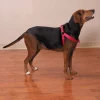 Casual Canine Two-Step Harness #ZA807