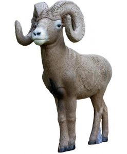 Rinehart Target 1/2 Scale Bighorn Sheep #37311