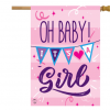 Briarwood Lane Baby Girl Double-Sided House Flag #HFBL-H01806