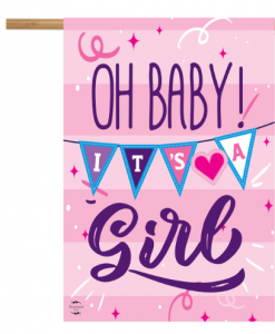 Briarwood Lane Baby Girl Double-Sided House Flag #HFBL-H01806