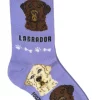 Foozys Ladies Labrador Retriever Dog Socks #FCC-24