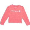 Carhartt Girls' Long-Sleeve Core Logo T-Shirt (Toddler/Child/Youth) - Dubarry Show Heather #TK9978