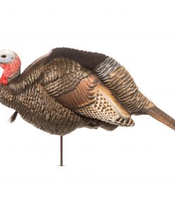 Dave Smith 3/4 Strut Jake Turkey Decoy #JAK