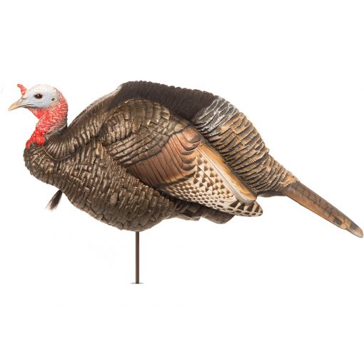 Dave Smith 3/4 Strut Jake Turkey Decoy #JAK