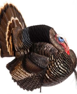 Dave Smith Strutter Turkey Decoy #STR