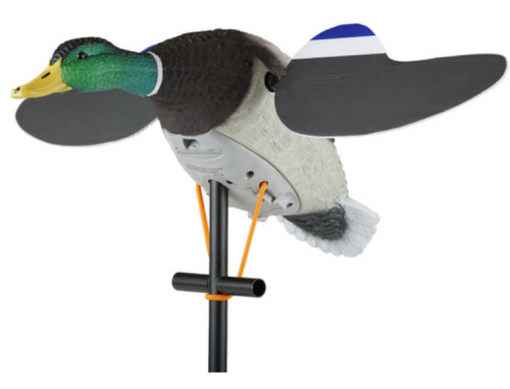 Lucky Duck Lucky Junior II #21-10117-9