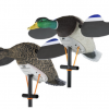 Lucky Duck Lucky Pair II #21-10617-4