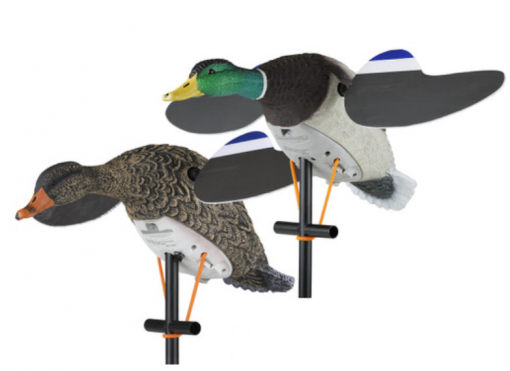 Lucky Duck Lucky Pair II #21-10617-4