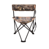 World Famous Sports 3 Leg Camp Stool With Back Rest - Burly Tan