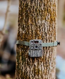 Browning Strike Force Trail Camera #BTC-5FHDR40