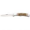 Browning Joint Venture-Sheep Horn Folding Knife #3220011