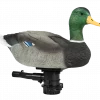 Lucky Duck Lucky Super Swimmer 2.0 #21-10625-9