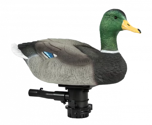 Lucky Duck Lucky Super Swimmer 2.0 #21-10625-9